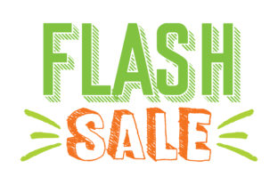 Flash Sale: A Designer’s Review for Real Embroidery Projects