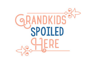 Grandkids Spoiled Here: A Designer’s Practical Review